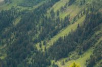 2015-06-25_05Drijaggenalm (151)b.JPG